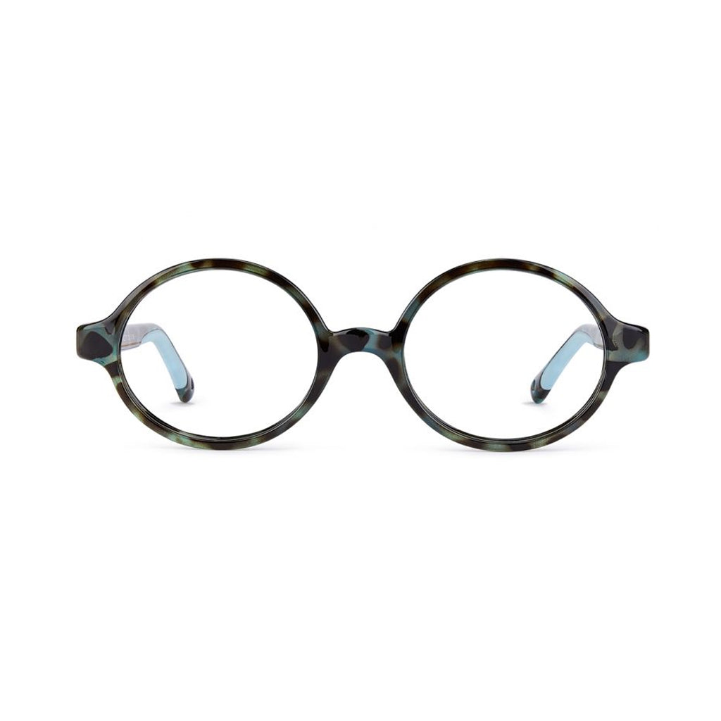 Nano Loading 3.0 Tortoise/Blue Frame front view