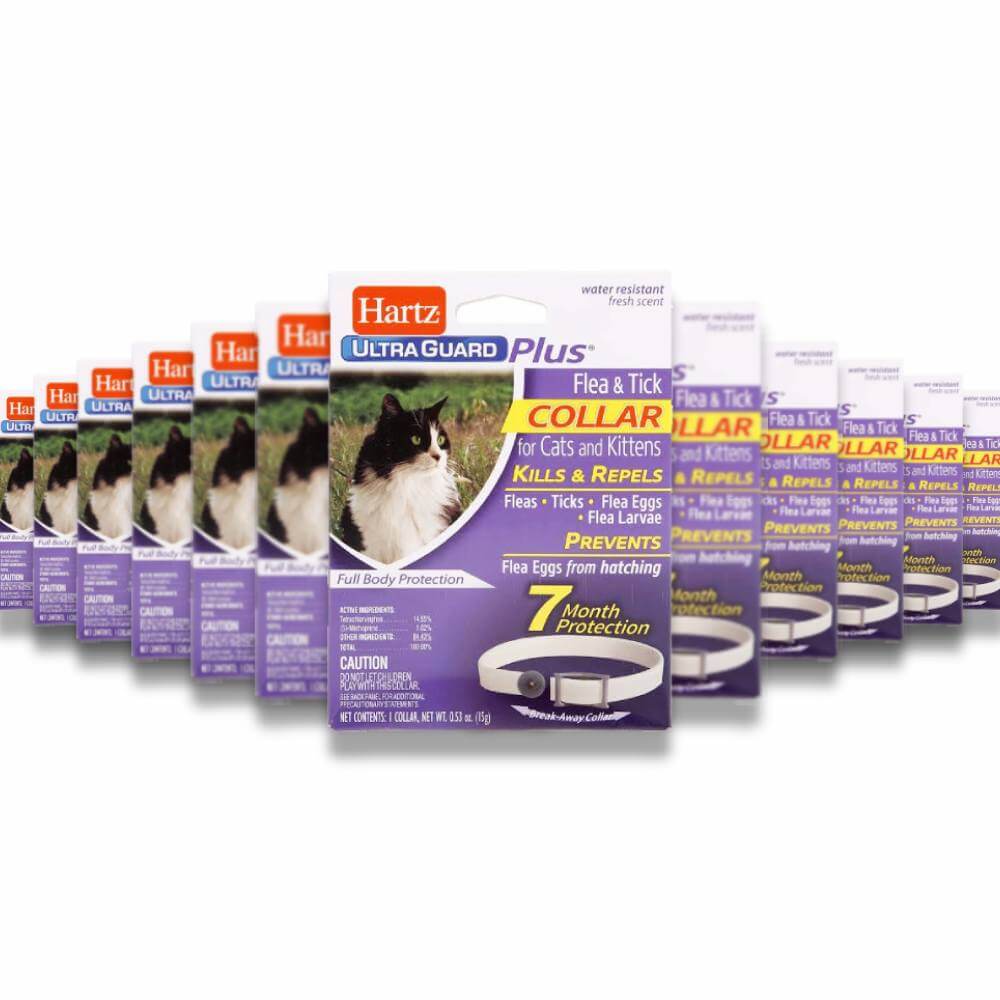 Hartz -UltraGuard Plus Flea & Tick Collar for Cats & Kittens - 1 Ct Each - 12 Pack