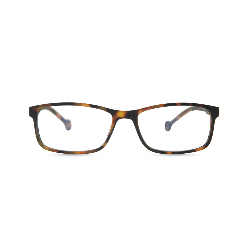Parafina Tamesis Reading Glasses Tortoise Front View